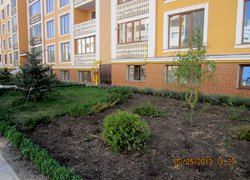 Екскурсія до створеного об’єкту з озеленення та благоустрою території двору багатоповерхового житлового будинку в м. Одеса (підприємець ландшафтної фірми ,,МИР ЛАНДШАФТА,, Юлія Бужор)